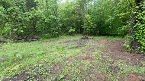Tiny photo for 427439 Thorngrove Pike, Kodak, TN 37764 (MLS # 1340294)