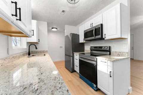 Tiny photo for 1961 Baldwin Cate Rd, New Market, TN 37820 (MLS # 1327917)