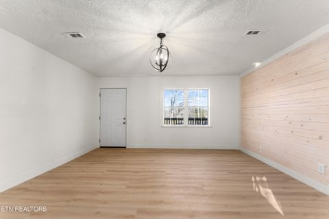 Tiny photo for 1961 Baldwin Cate Rd, New Market, TN 37820 (MLS # 1327917)