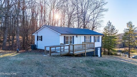 Tiny photo for 1961 Baldwin Cate Rd, New Market, TN 37820 (MLS # 1327917)
