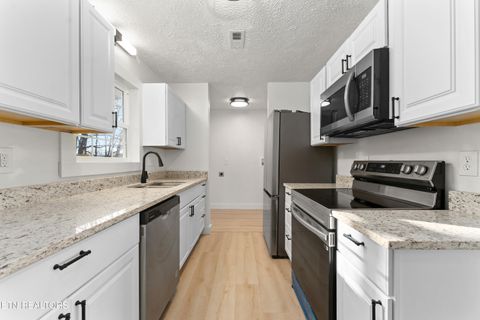 Tiny photo for 1961 Baldwin Cate Rd, New Market, TN 37820 (MLS # 1327917)