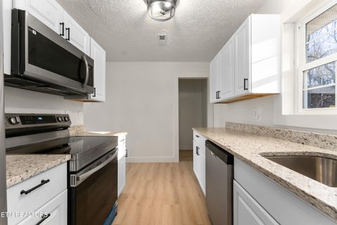 Tiny photo for 1961 Baldwin Cate Rd, New Market, TN 37820 (MLS # 1327917)