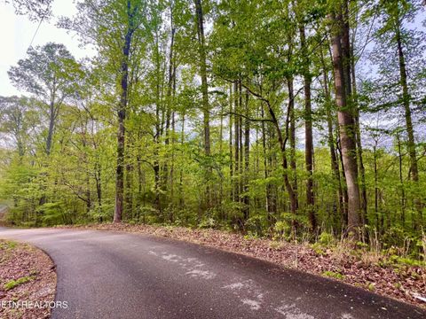 Photo of 7677 Polly Mountain Rd, Madisonville, TN 37354 (MLS # 1335063)