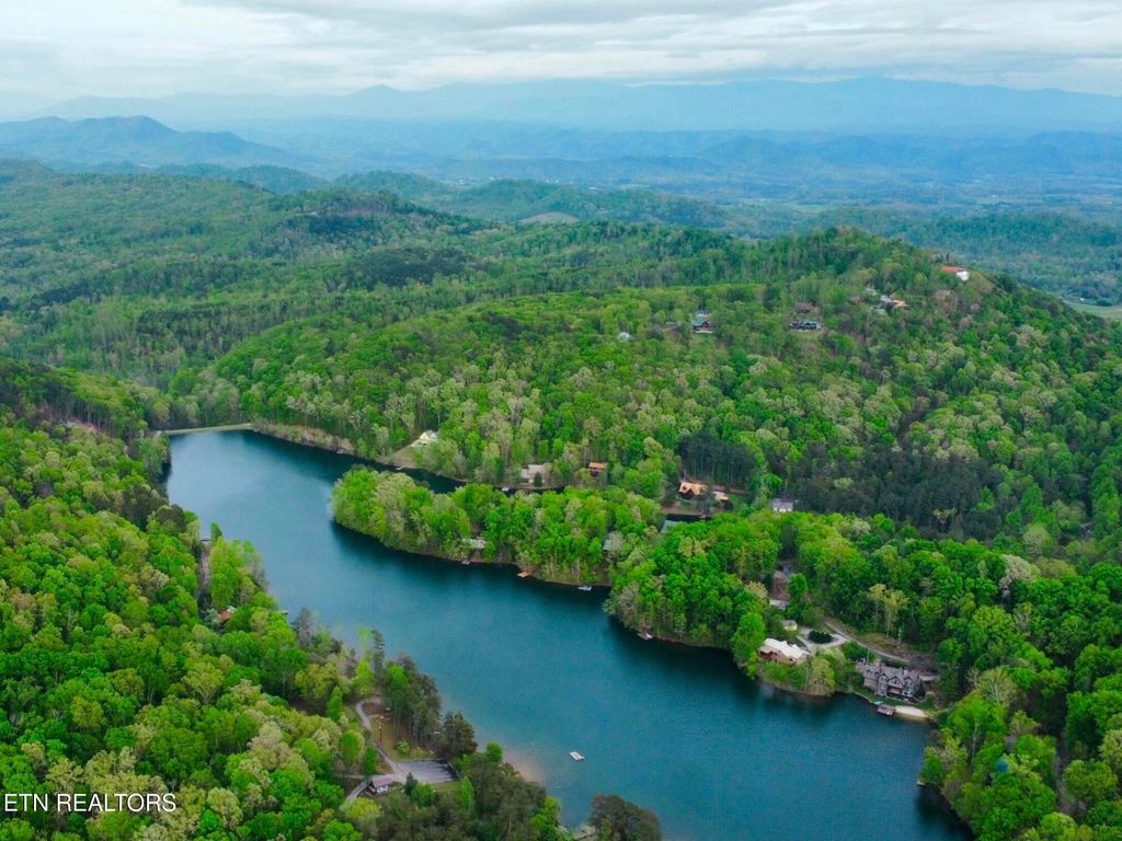 Photo of 7677 Polly Mountain Rd, Madisonville, TN 37354 (MLS # 1335063)