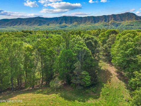 Photo of County Line Rd, Dandridge, TN 37725 (MLS # 1319722)