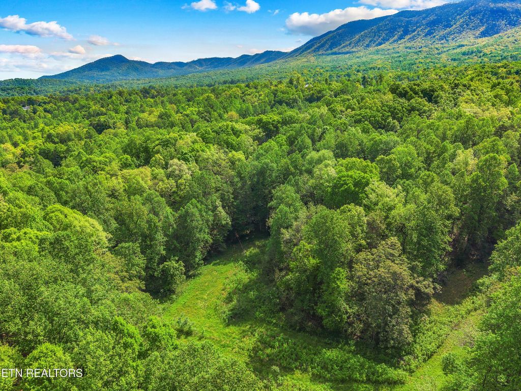 Photo of County Line Rd, Dandridge, TN 37725 (MLS # 1319722)