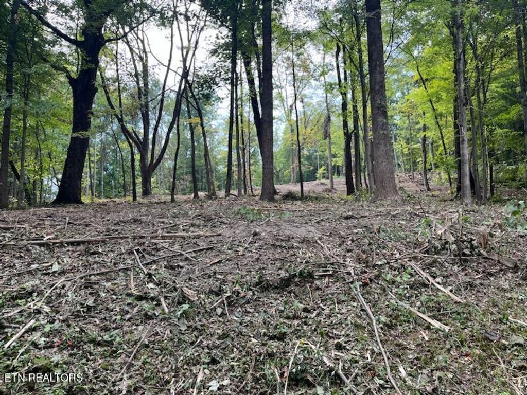 Photo of W Hemlock St, LaFollette, TN 37766 (MLS # 1306852)