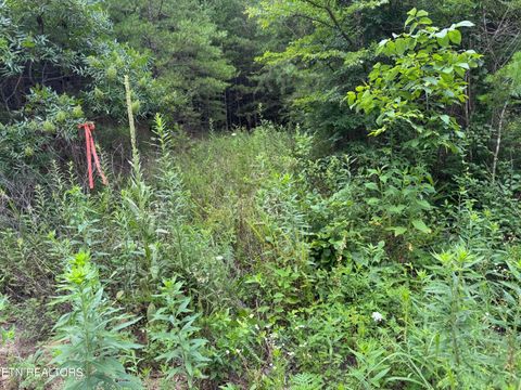Photo of 49 Bayside Blvd, Bean Station, TN 37708 (MLS # 1348164)