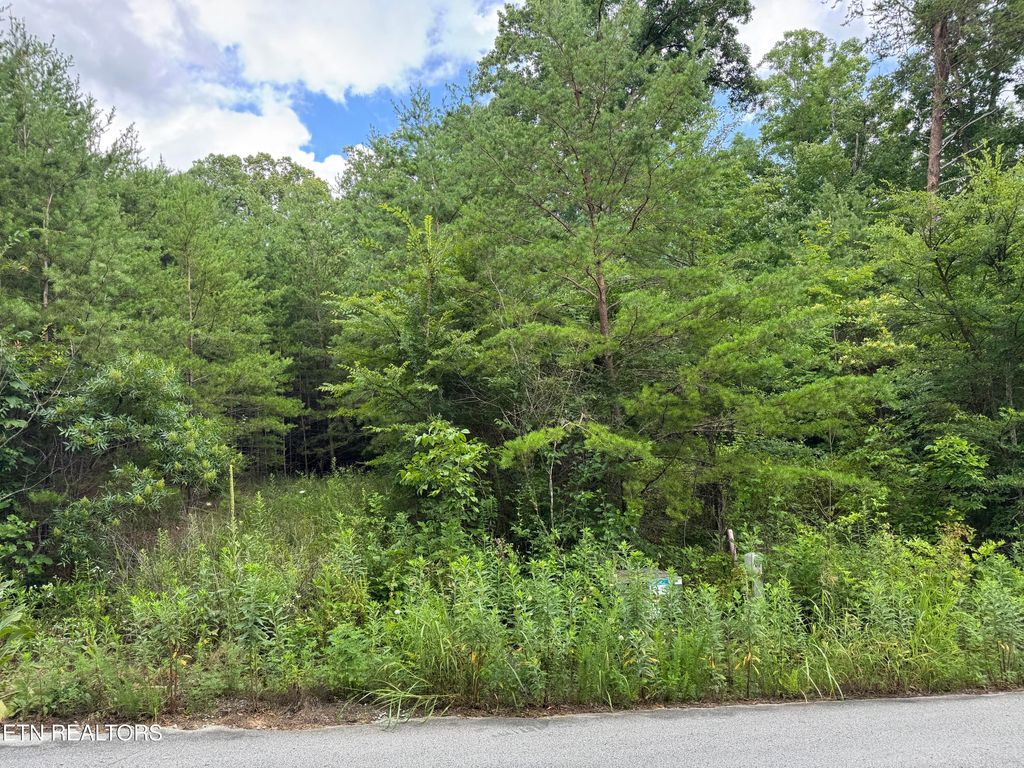 Photo of 49 Bayside Blvd, Bean Station, TN 37708 (MLS # 1348164)