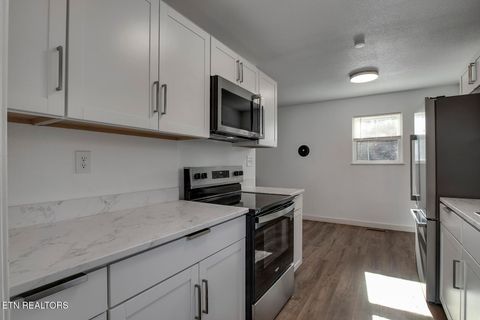 Tiny photo for 2382 Highway 39E, Englewood, TN 37329 (MLS # 1324665)