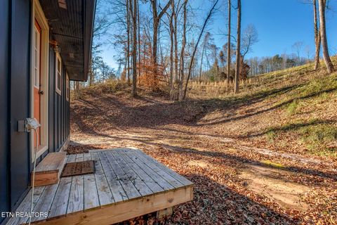 Tiny photo for 2382 Highway 39E, Englewood, TN 37329 (MLS # 1324665)