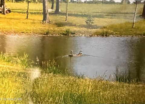 Tiny photo for 1275 Twin Bridge Rd, Deer Lodge, TN 37726 (MLS # 1324295)