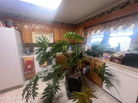 Tiny photo for 1275 Twin Bridge Rd, Deer Lodge, TN 37726 (MLS # 1324295)