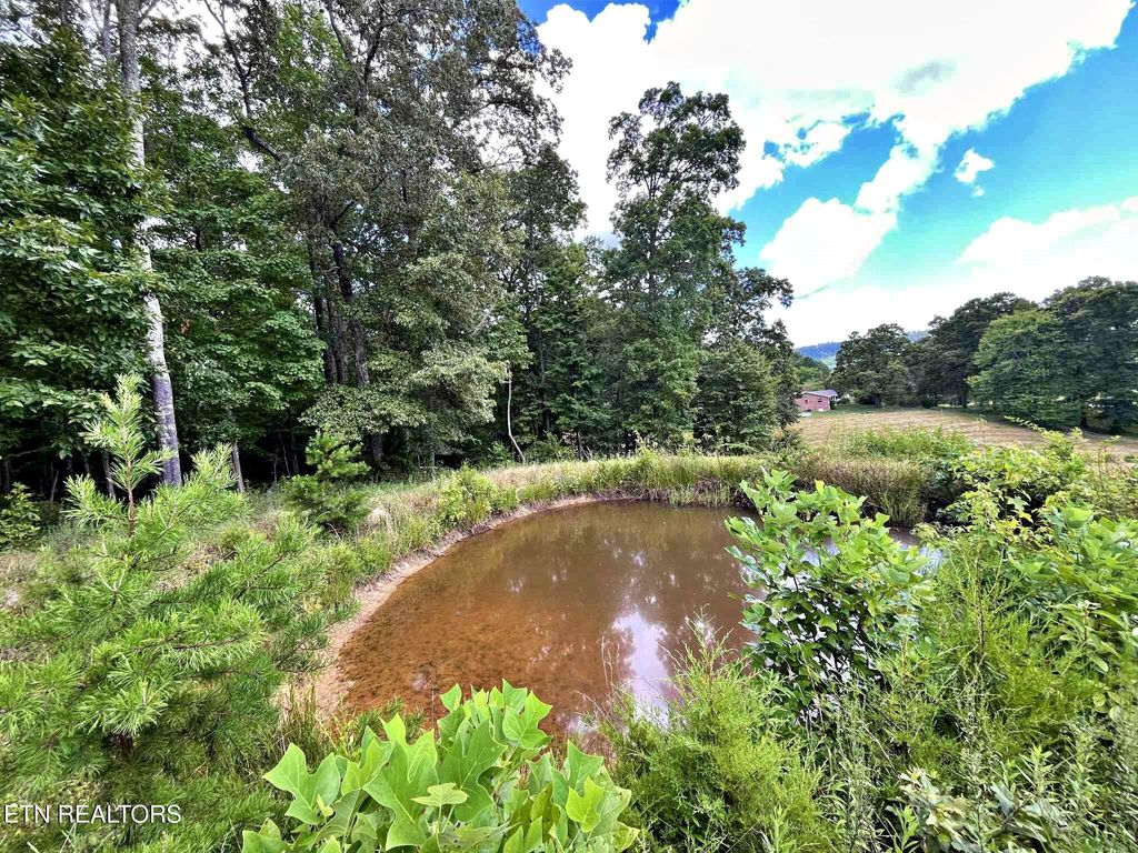 Photo of 3 Keylon Hollow Road, Ten Mile, TN 37880 (MLS # 1307969)
