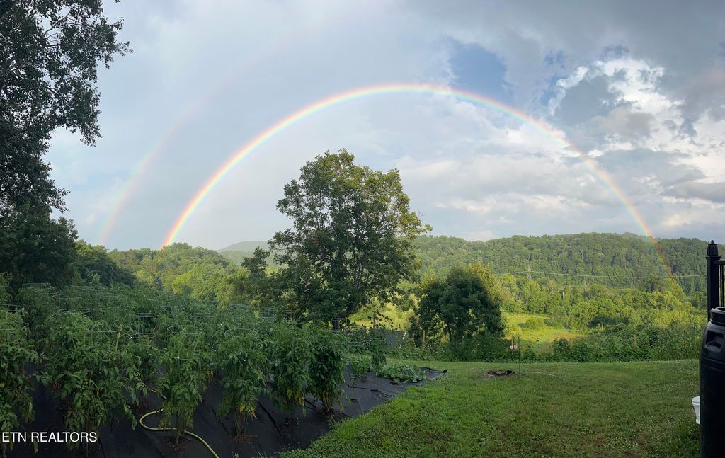 Photo of 717 Bullrun Valley Drive, Heiskell, TN 37754 (MLS # 1296867)