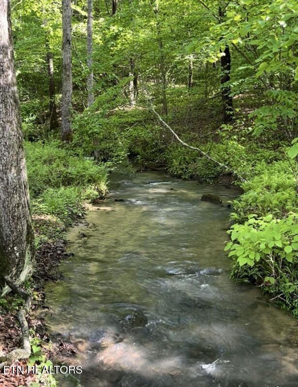 Photo of 73 Creek Place, Monterey, TN 38574 (MLS # 1320355)