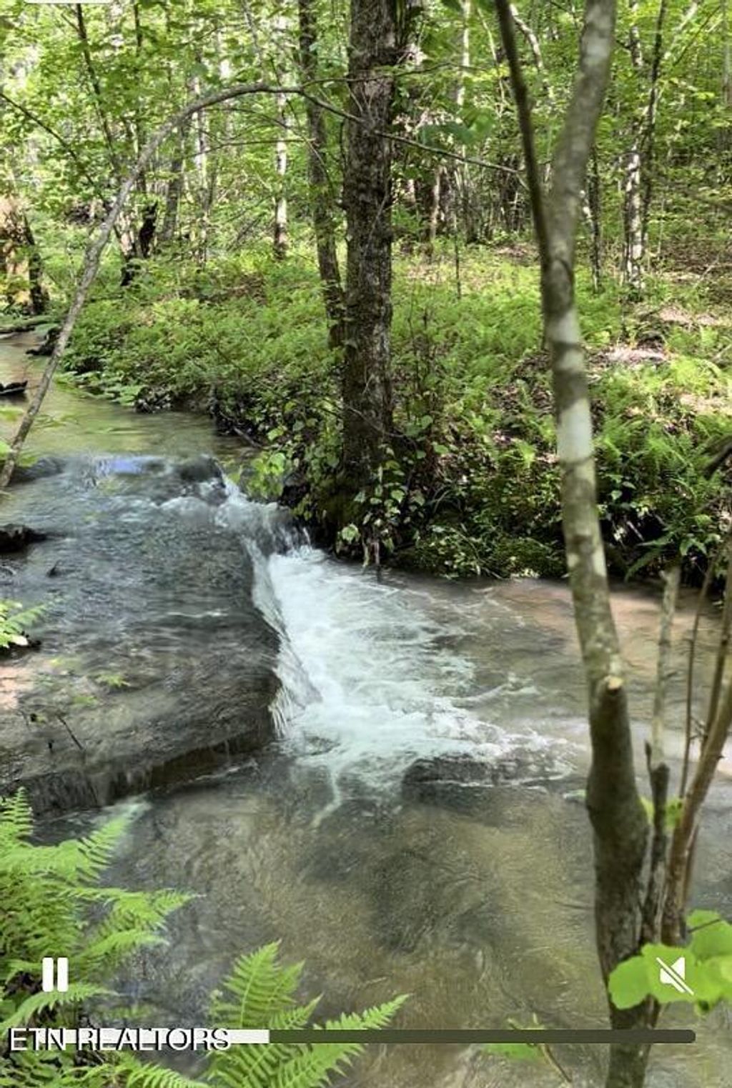 Photo of 73 Creek Place, Monterey, TN 38574 (MLS # 1320355)