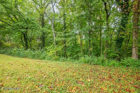 Tiny photo for 114 Euclid Circle, Oak Ridge, TN 37830 (MLS # 1357301)