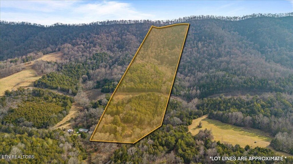 Photo of Little Sycamore Rd, Tazewell, TN 37879 (MLS # 1315493)