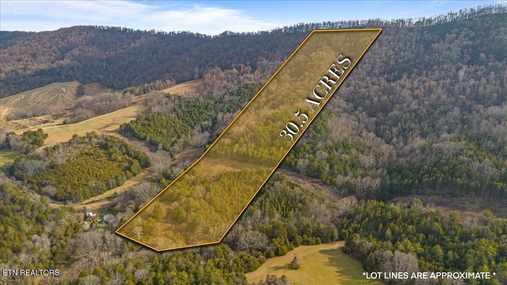 Photo of Little Sycamore Rd, Tazewell, TN 37879 (MLS # 1315493)
