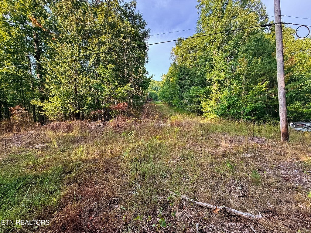 Photo of 1521 Mill Creek Rd, Sunbright, TN 37872 (MLS # 1356562)