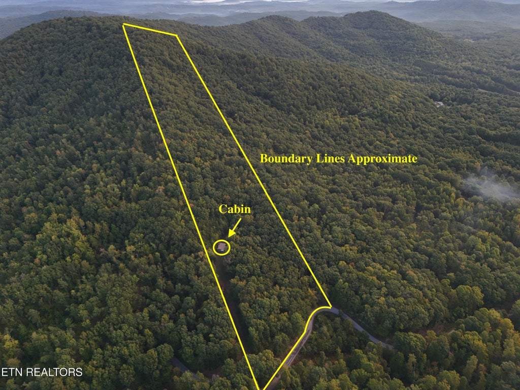 Photo of 1521 Mill Creek Rd, Sunbright, TN 37872 (MLS # 1356562)