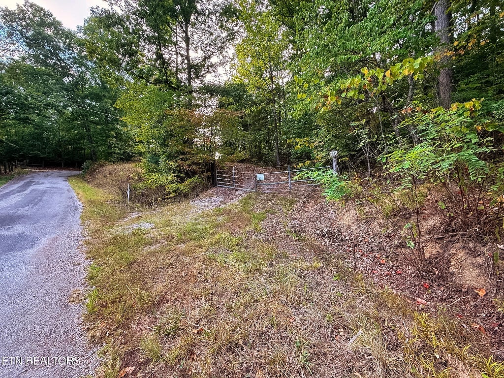 Photo of 1521 Mill Creek Rd, Sunbright, TN 37872 (MLS # 1356562)
