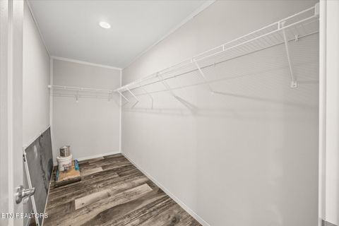 Tiny photo for 1700 Anna Maria Lane, Cookeville, TN 38501 (MLS # 1349613)