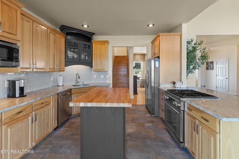 Tiny photo for 2225 Ted Moore Rd, Dandridge, TN 37725 (MLS # 1317401)