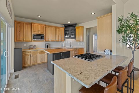 Tiny photo for 2225 Ted Moore Rd, Dandridge, TN 37725 (MLS # 1317401)