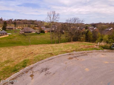 Tiny photo for 2329 Louisiana Court, Seymour, TN 37865 (MLS # 1298865)