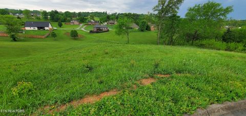 Tiny photo for 2329 Louisiana Court, Seymour, TN 37865 (MLS # 1298865)