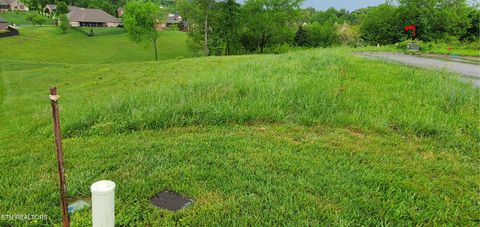 Tiny photo for 2329 Louisiana Court, Seymour, TN 37865 (MLS # 1298865)