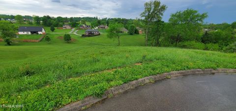 Tiny photo for 2329 Louisiana Court, Seymour, TN 37865 (MLS # 1298865)