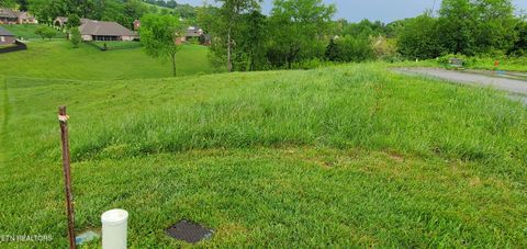 Tiny photo for 2329 Louisiana Court, Seymour, TN 37865 (MLS # 1298865)