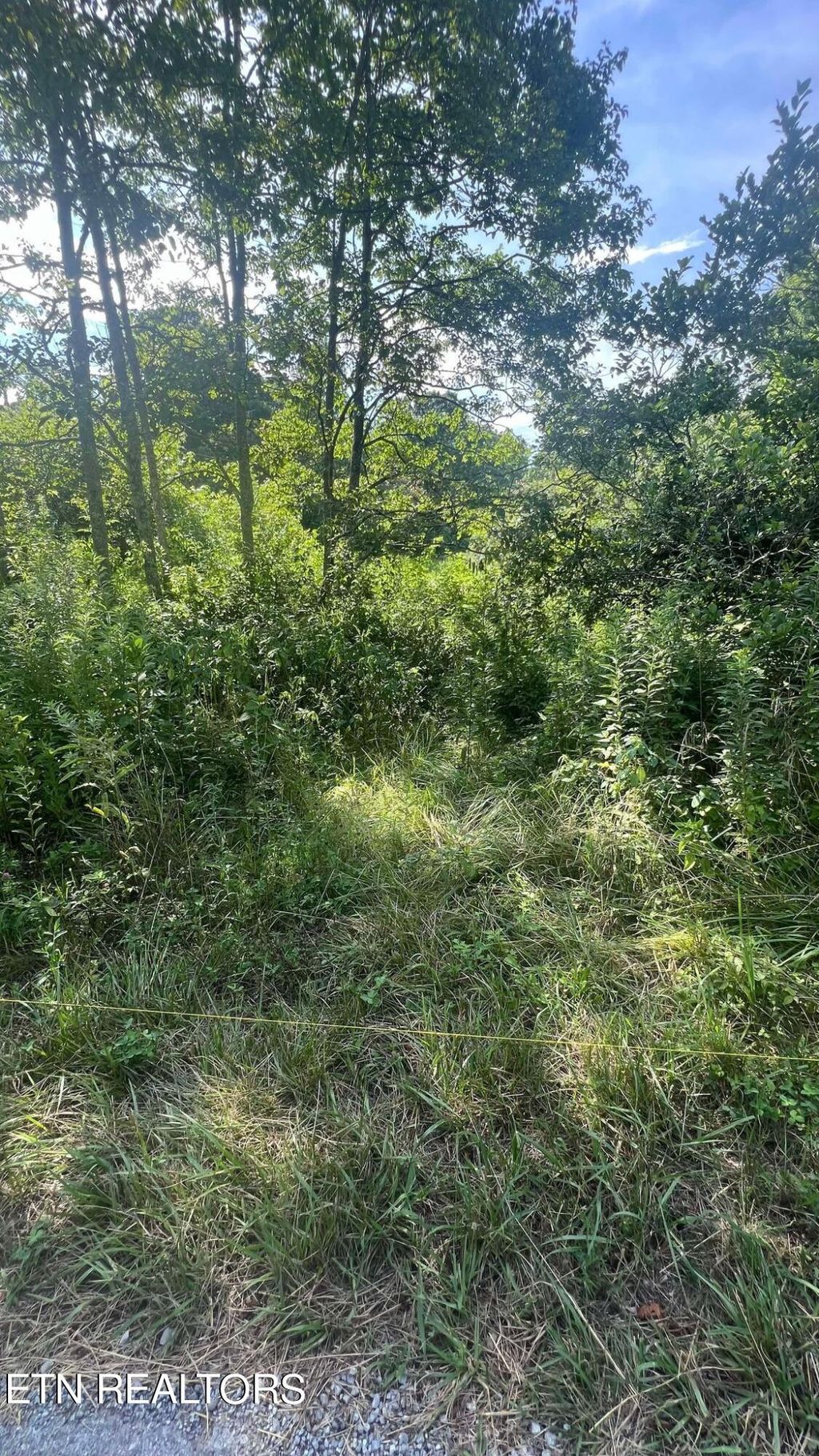 Photo of 237 Smithfield Rd, Tellico Plains, TN 37385 (MLS # 1269120)