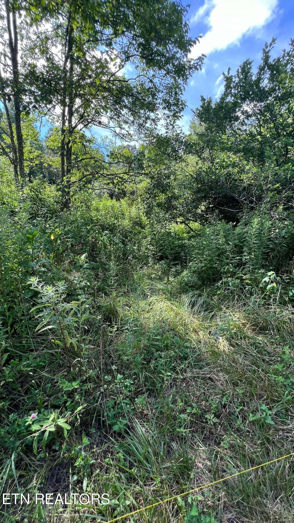 Photo of 237 Smithfield Rd, Tellico Plains, TN 37385 (MLS # 1269120)