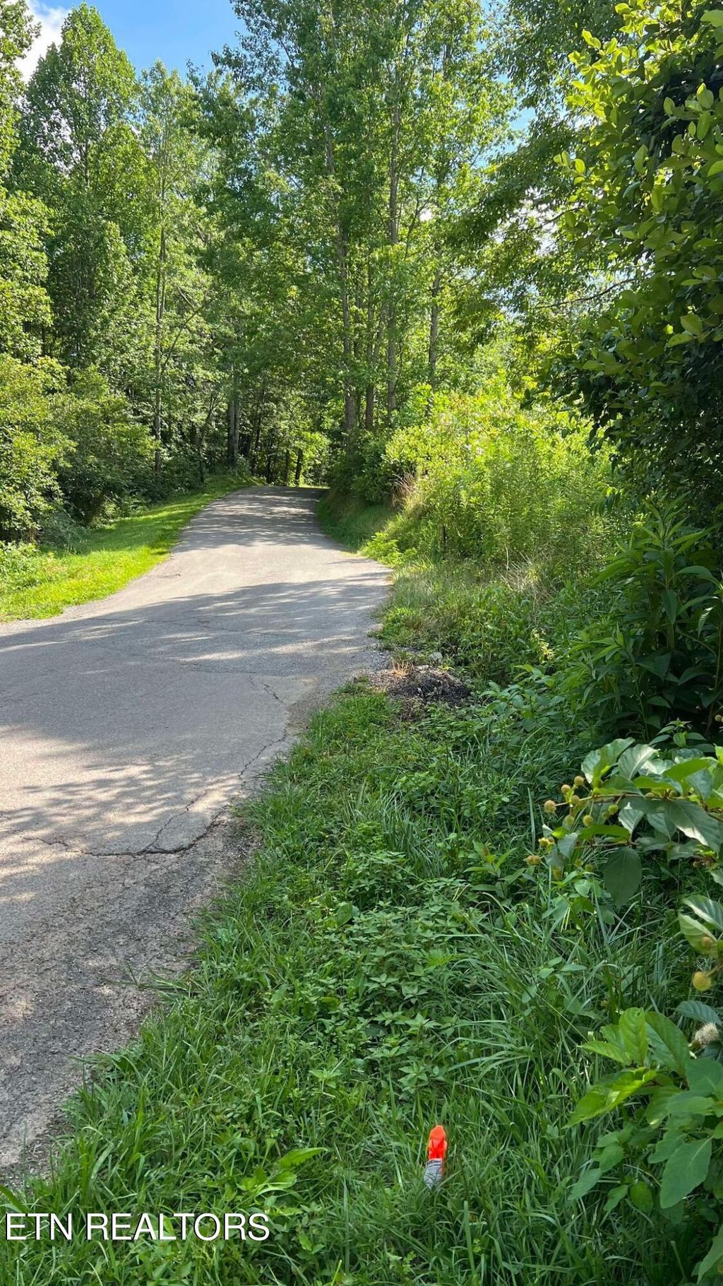 Photo of 237 Smithfield Rd, Tellico Plains, TN 37385 (MLS # 1269120)