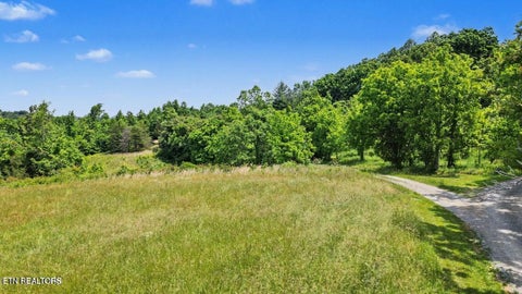 Tiny photo for 720 Merry Way, Parrottsville, TN 37843 (MLS # 1357692)