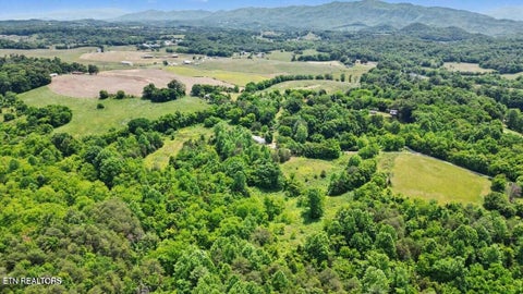 Tiny photo for 720 Merry Way, Parrottsville, TN 37843 (MLS # 1357692)