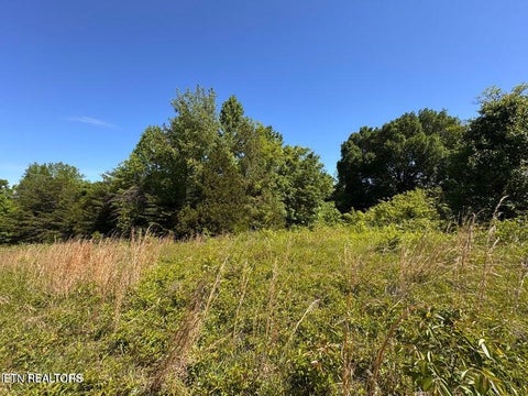 Tiny photo for 720 Merry Way, Parrottsville, TN 37843 (MLS # 1357692)