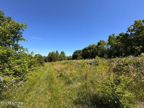 Tiny photo for 720 Merry Way, Parrottsville, TN 37843 (MLS # 1357692)