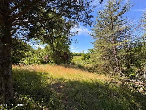 Tiny photo for 720 Merry Way, Parrottsville, TN 37843 (MLS # 1357692)