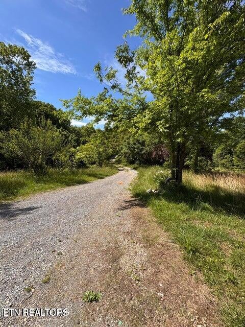 Tiny photo for 720 Merry Way, Parrottsville, TN 37843 (MLS # 1357692)