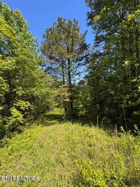 Tiny photo for 720 Merry Way, Parrottsville, TN 37843 (MLS # 1357692)
