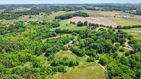 Tiny photo for 720 Merry Way, Parrottsville, TN 37843 (MLS # 1357692)