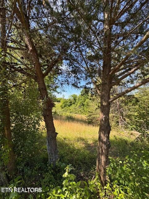 Tiny photo for 720 Merry Way, Parrottsville, TN 37843 (MLS # 1357692)