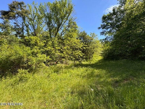 Tiny photo for 720 Merry Way, Parrottsville, TN 37843 (MLS # 1357692)