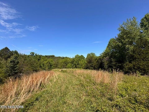 Tiny photo for 720 Merry Way, Parrottsville, TN 37843 (MLS # 1357692)