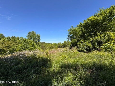 Tiny photo for 720 Merry Way, Parrottsville, TN 37843 (MLS # 1357692)